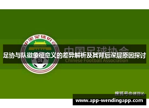 足协与队徽象征意义的差异解析及其背后深层原因探讨